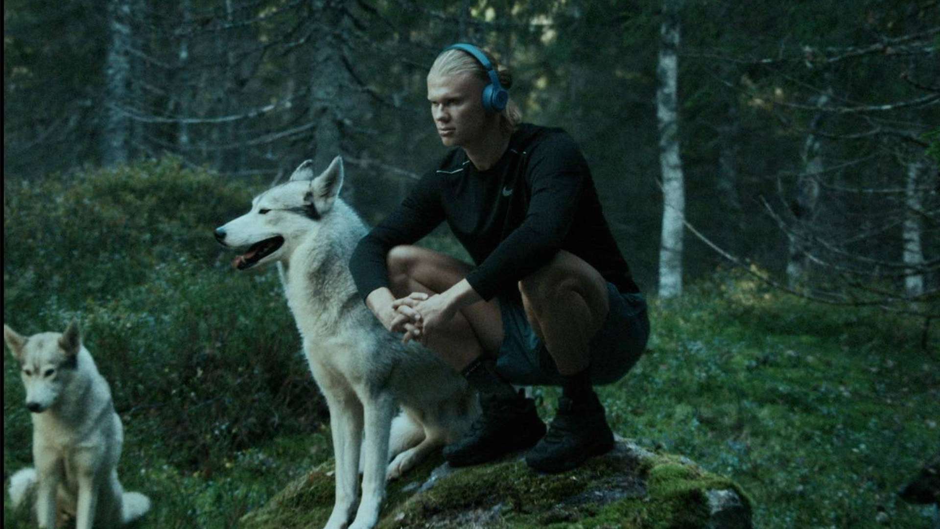 民营企业展 民营企业展