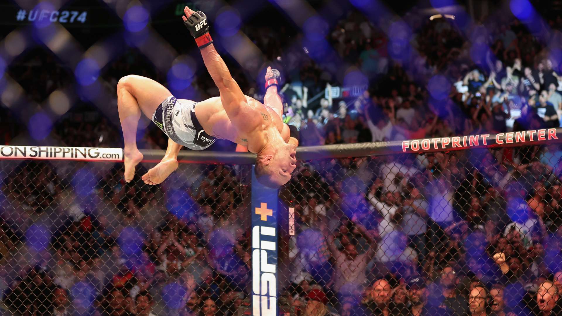 其他球员只 其他球员只