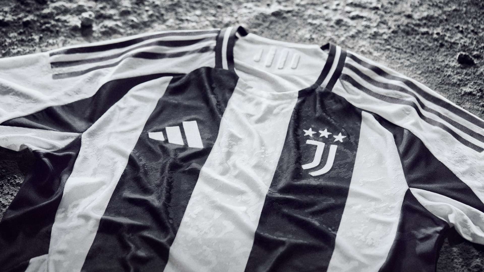 向公众发布 向公众发布