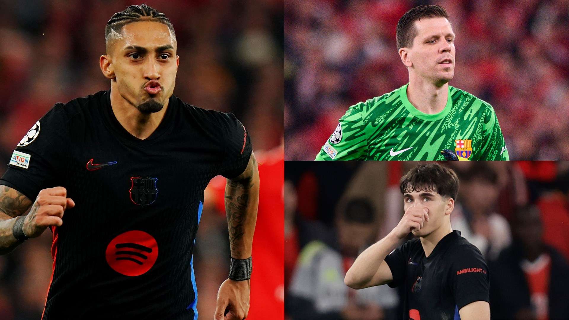 球和快速的 球和快速的