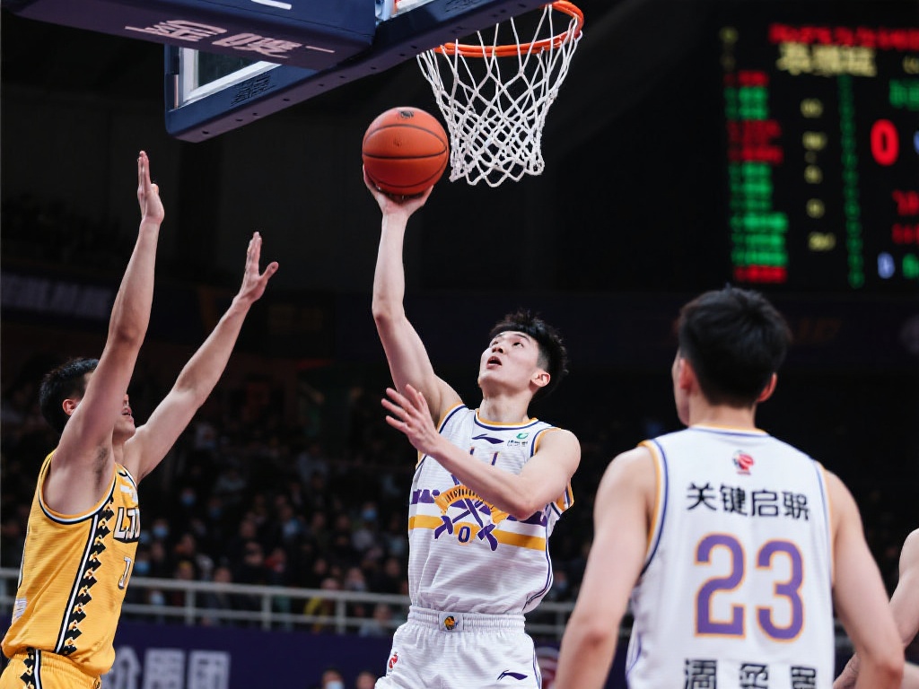 家有机会展 家有机会展